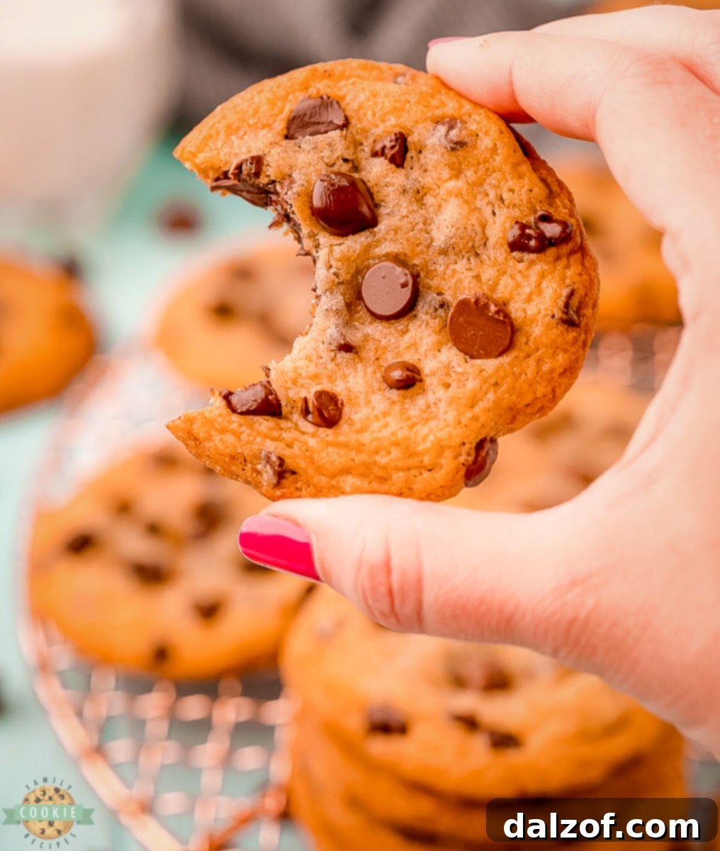 Ingredients for making chewy chocolate chip cookies laid out