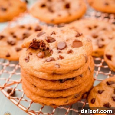 Copycat Chewy Chips Ahoy Cookies made easy at home with simple ingredients! Soft and chewy chocolate chip cookies even better than your favorite store-bought treat!