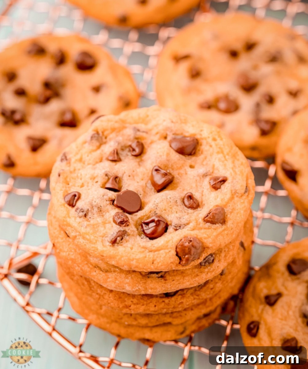 Close-up of baked chewy chocolate chip cookies on a cooling rack