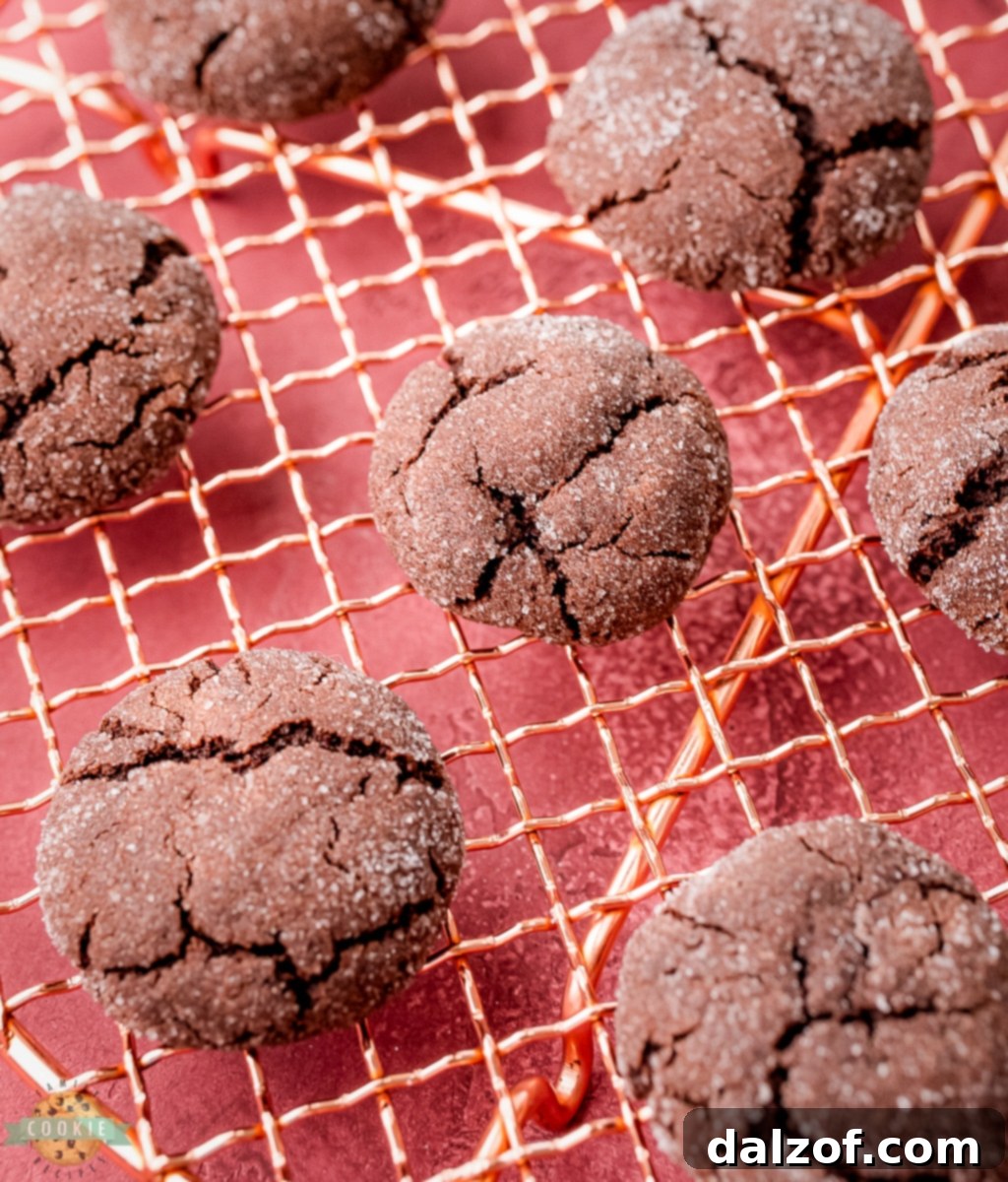 Close-up of a stack of dark chocolate sugar cookies, showing their crinkled, sugar-dusted tops