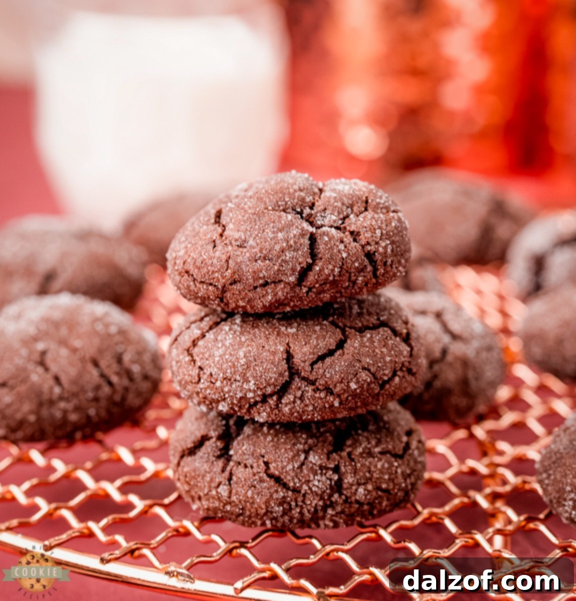 Ingredients for chocolate sugar cookies laid out on a baking surface