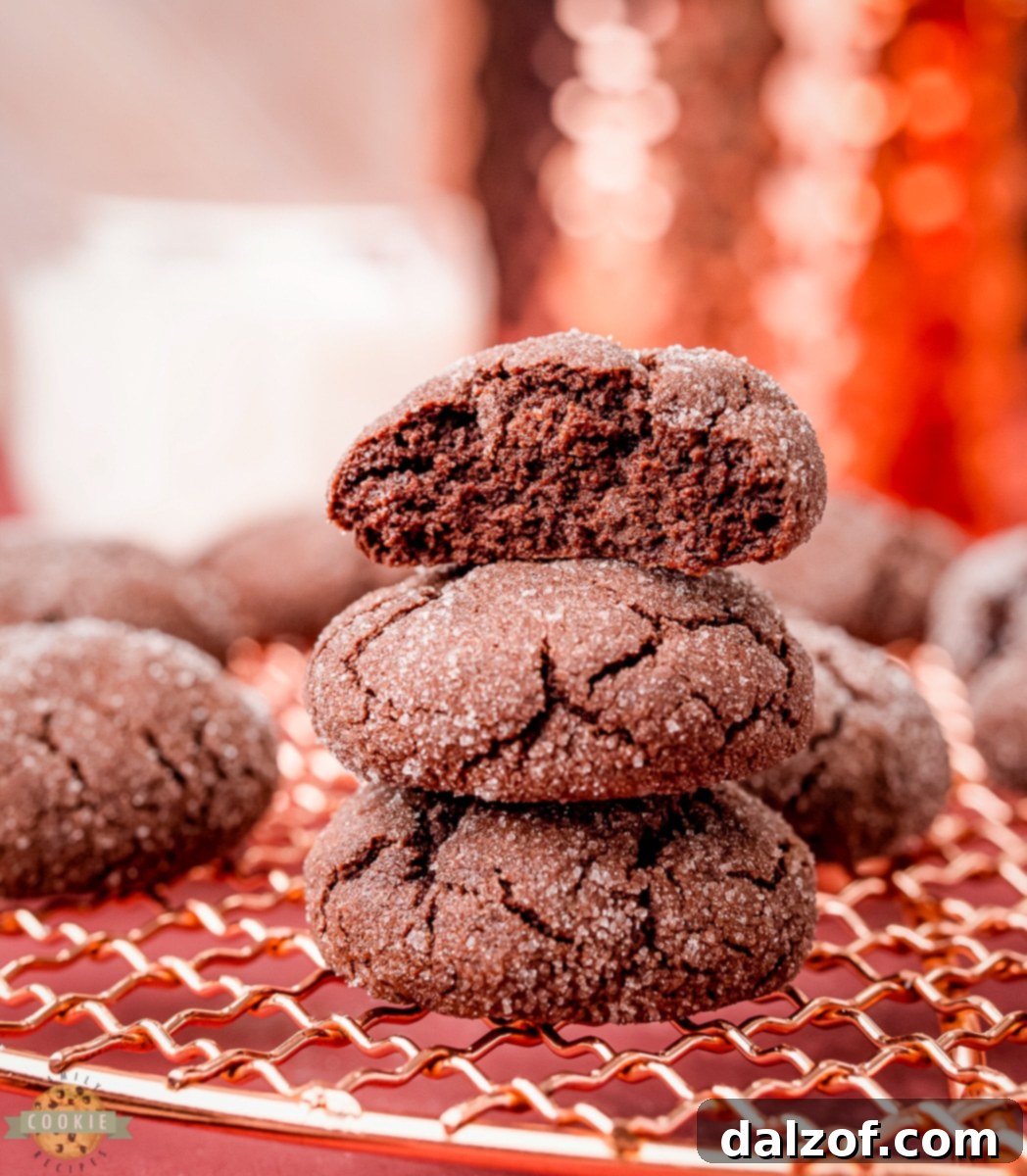 Plate of homemade chocolate sugar cookies with a glass of milk