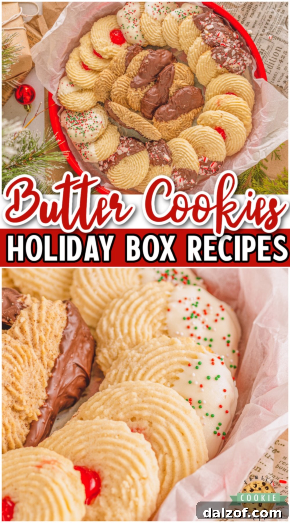 Golden Delights: Butter Cookie Recipes 11 Homemade Butter Cookie Box complete with a basic butter cookie recipe and 4 delicious variations! Tender, buttery cookies in a lovely festive box perfect for holiday gifts!