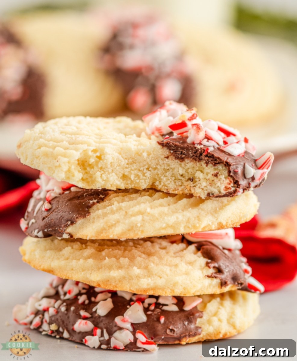 Classic butter cookies with a peppermint and chocolate twist, beautifully presented
