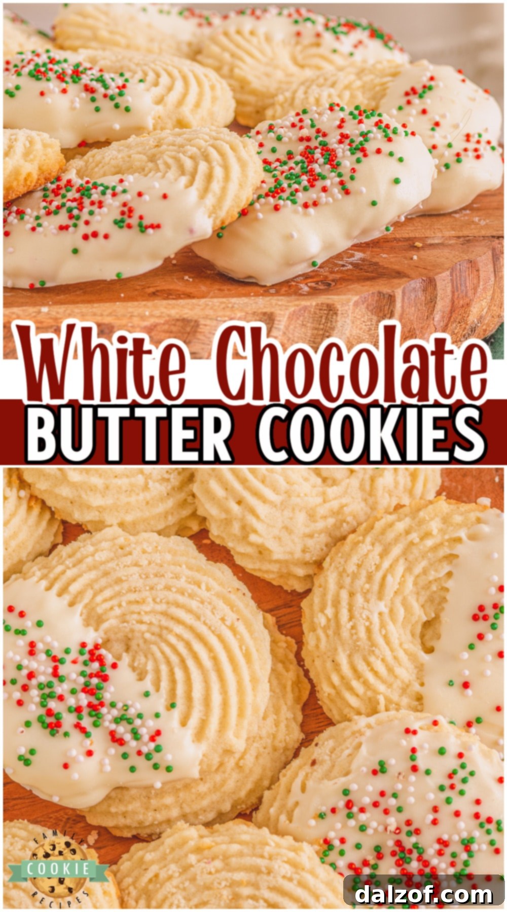 Classic White chocolate butter cookies with delicate texture and rich flavor