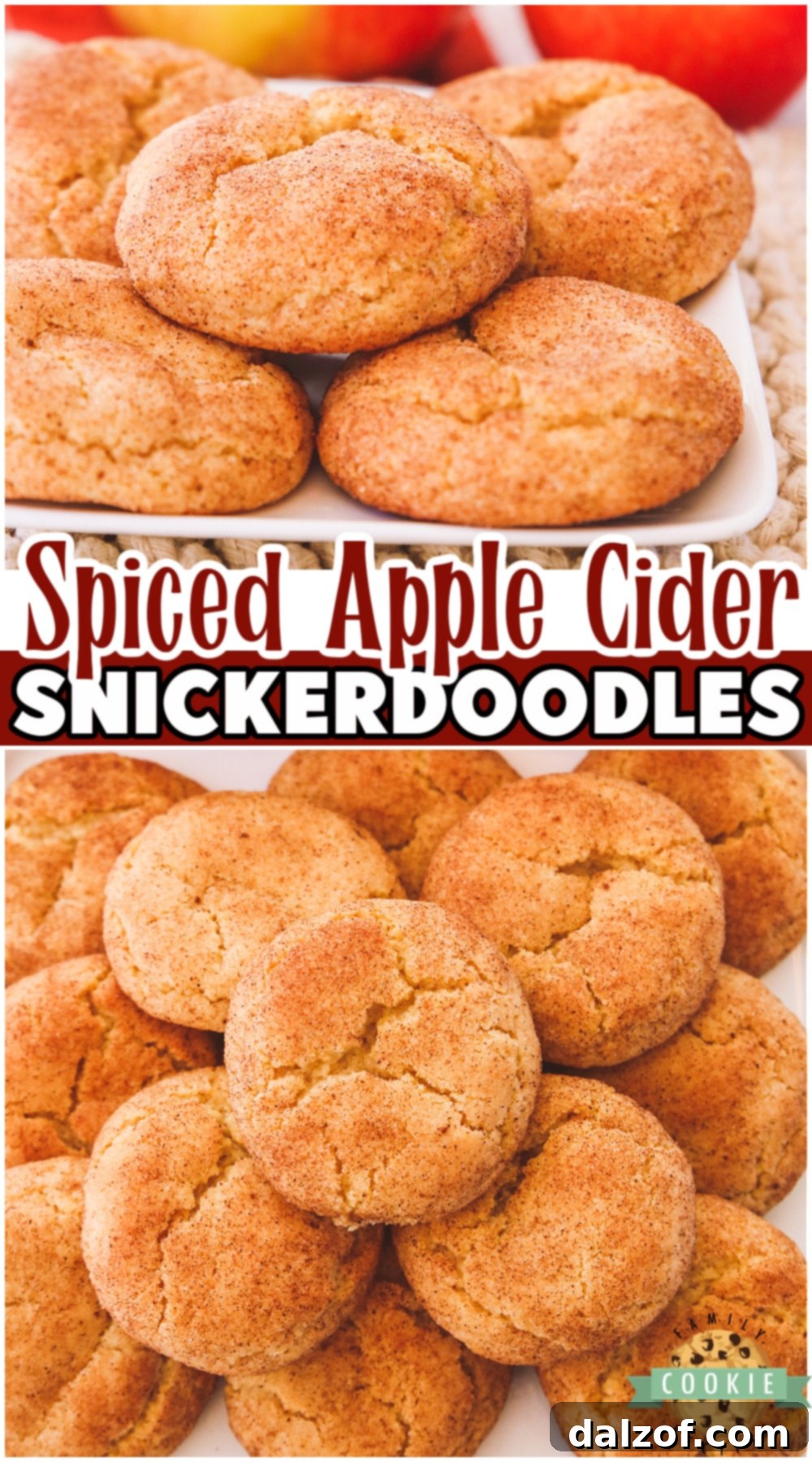 Apple Cider Snickerdoodles are everything you love about Snickerdoodles, with fresh & tangy apple cider! Fabulous Fall flavors in this apple cinnamon spiced snickerdoodle recipe.