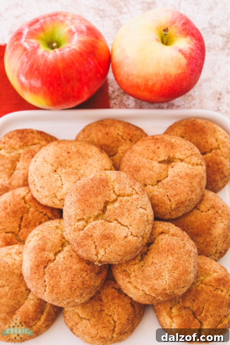stack of apple cider snickerdoodles