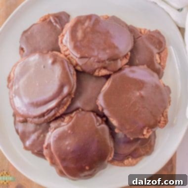Texas Sheet Cake Cookies - a rich chocolate cookie with fudgy icing