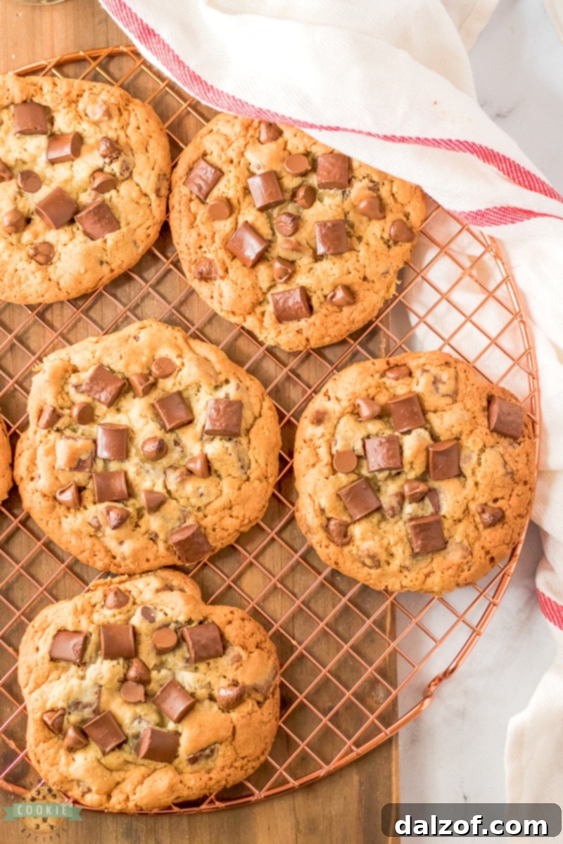 Close-up of baked Chick-fil-A copycat cookies with melty chocolate