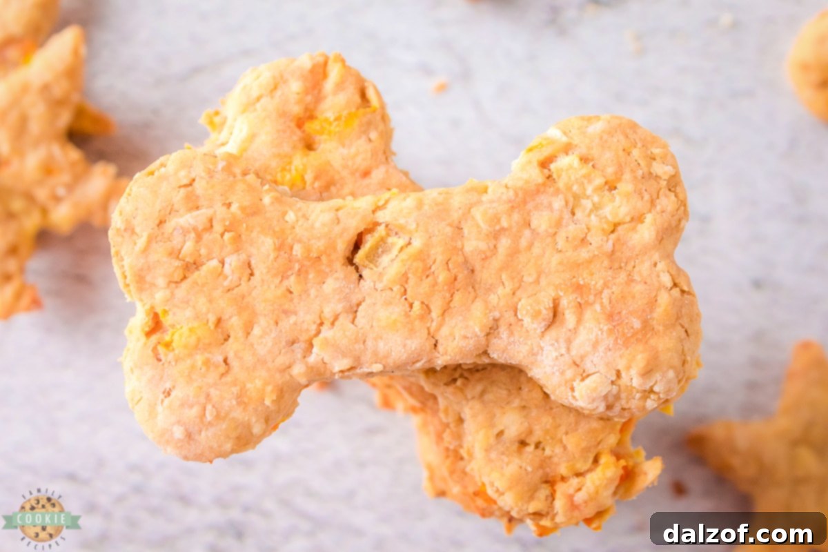 Healthy homemade dog cookies with carrots, apple, oats, and peanut butter, arranged beautifully on a cooling rack