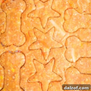 Healthy Homemade Dog Cookies