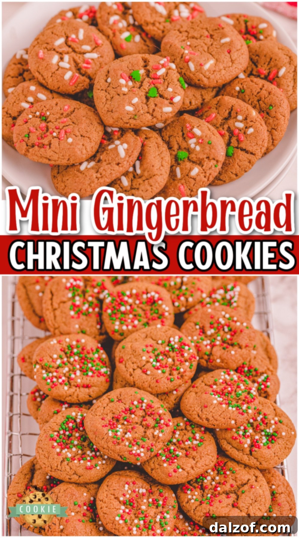 Mini gingerbread cookies made from scratch & ready for your Christmas party! Perfect 2-bite cookies made easy without scooping any cookie dough. Easy method yields over 6 dozen cookies baked in record time!
