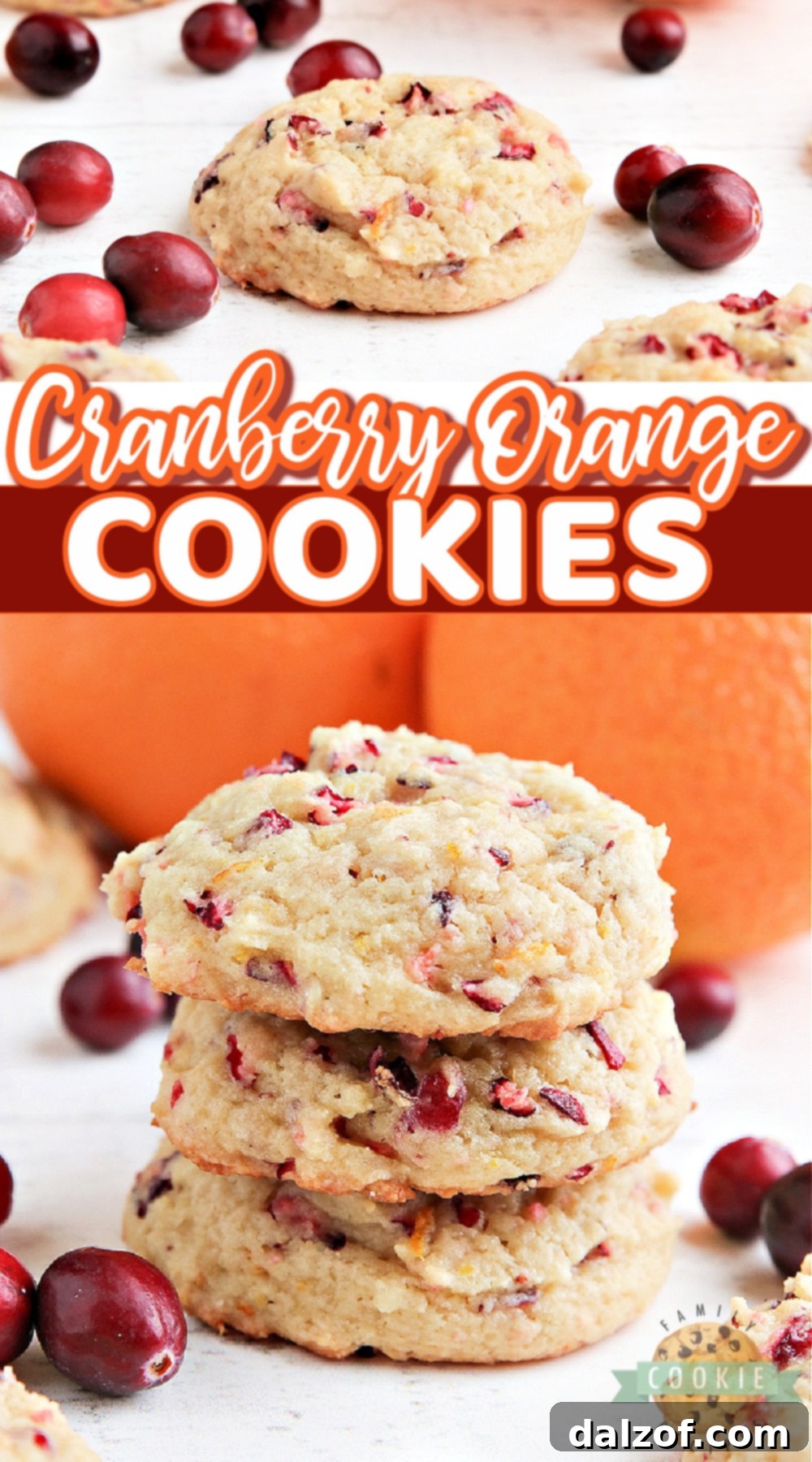 Beautifully arranged Cranberry Orange Cookies, soft, chewy, and bursting with flavor, ideal for any festive table.