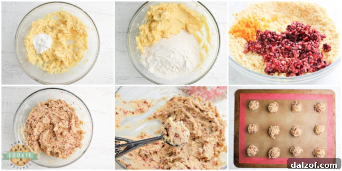 Step by step visual guide on how to prepare Cranberry Orange Cookies from start to finish.