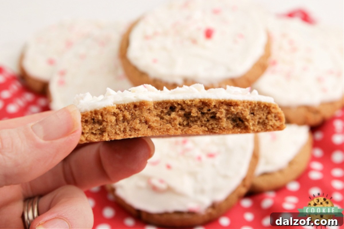 Assortment of frosted gingerbread sugar cookies on a white plate