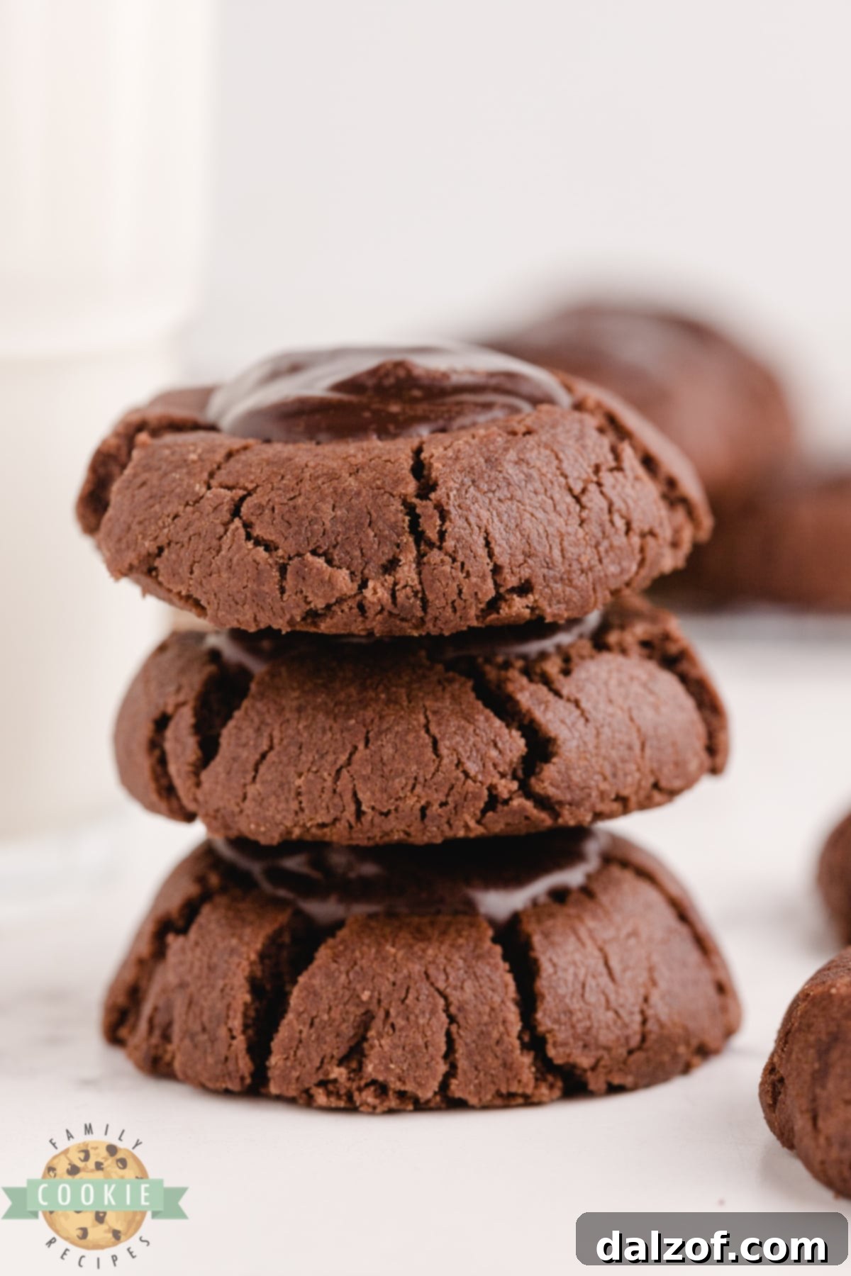 Decadent Double Chocolate Thumbprint Treats 6 Freshly baked Double Chocolate Thumbprint Cookies with glistening ganache centers