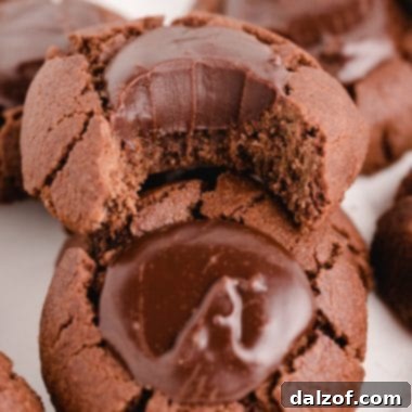Double Chocolate Thumbprint Cookies