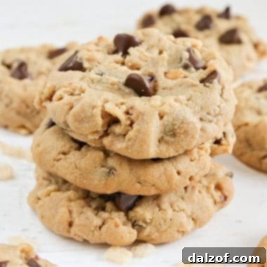 A freshly baked Rice Krispie Chocolate Chip Peanut Butter cookie, broken in half to show its soft interior and crispy texture.