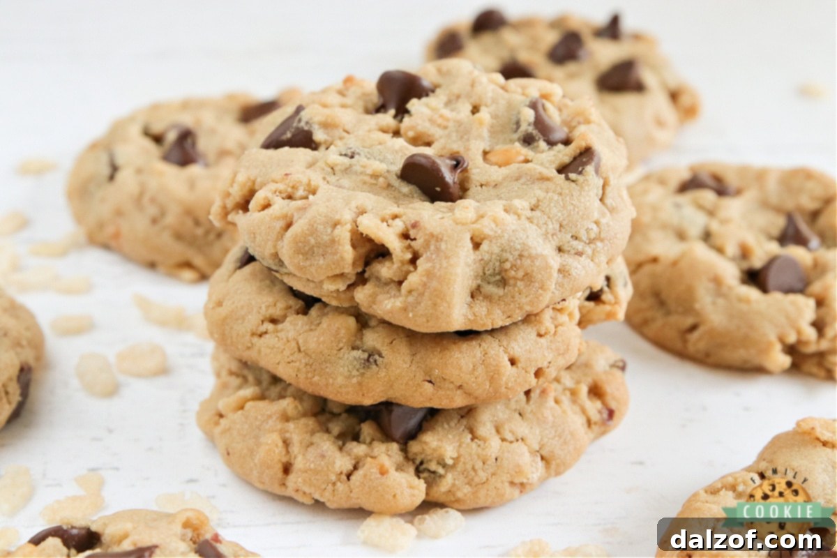 Peanut Butter Chocolate Crunch Cookies 7 A stack of perfectly baked Rice Krispie Chocolate Chip Peanut Butter cookies, highlighting their thick, soft texture with visible crispy rice cereal and chocolate chips.