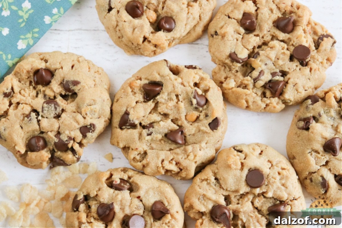 Peanut Butter Chocolate Crunch Cookies 8 Artfully arranged peanut butter cookies, featuring a delightful combination of chocolate chips and crunchy Rice Krispies, ready to be enjoyed.