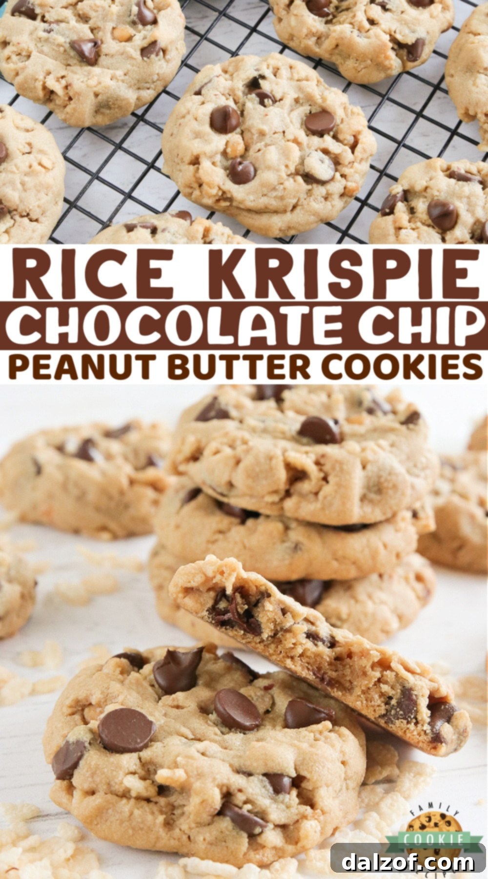 Peanut Butter Chocolate Crunch Cookies 9 An enticing vertical shot of Rice Krispie Chocolate Chip Peanut Butter cookies, highlighting their soft centers and perfectly crispy edges, ready for a taste.