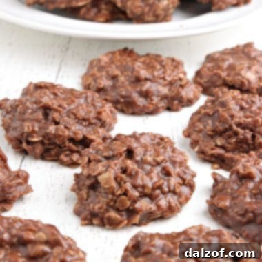 Nutella No Bake Cookies