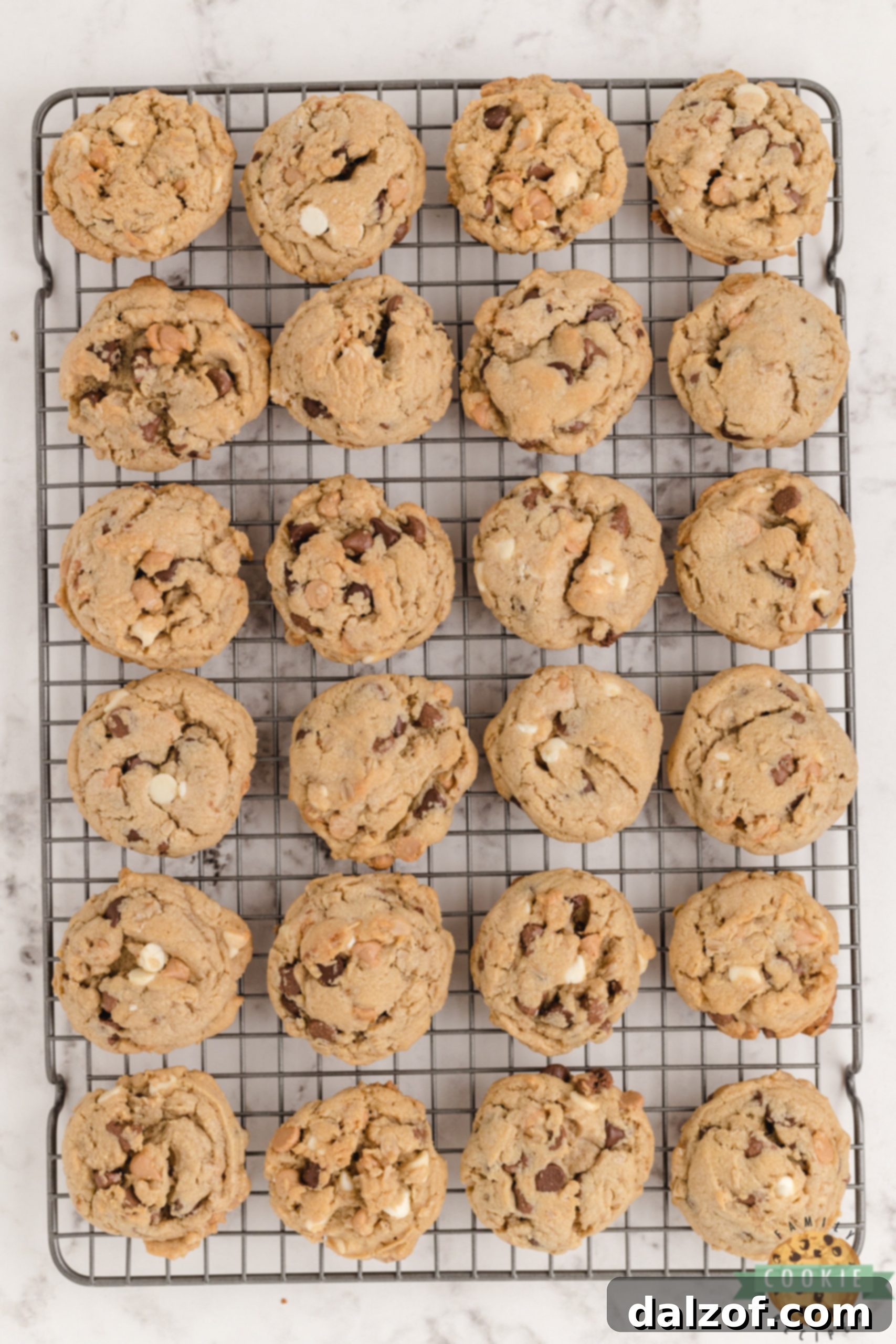A freshly baked batch of Five Chip Peanut Butter Oatmeal Cookies cooling on a wire rack, showing their soft, chewy texture and abundant chips