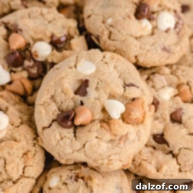 Five Chip Peanut Butter Oatmeal Cookies