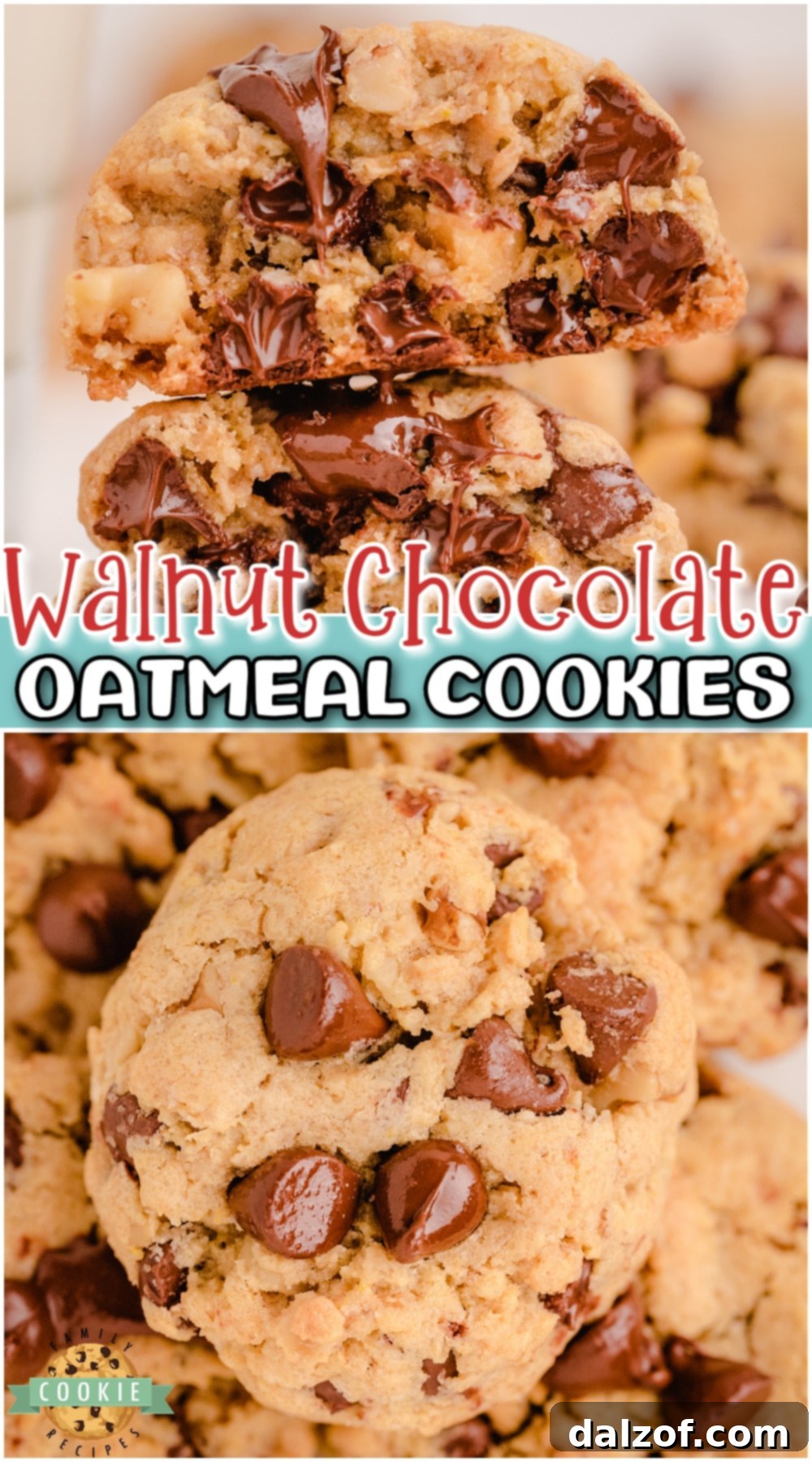 Hearty Oatmeal Walnut Chocolate Chip Delights 9 Oatmeal Walnut Chocolate Chip Cookies loaded with chocolate, oatmeal and walnuts! Decadent chocolate chip cookie recipe for nut lovers!