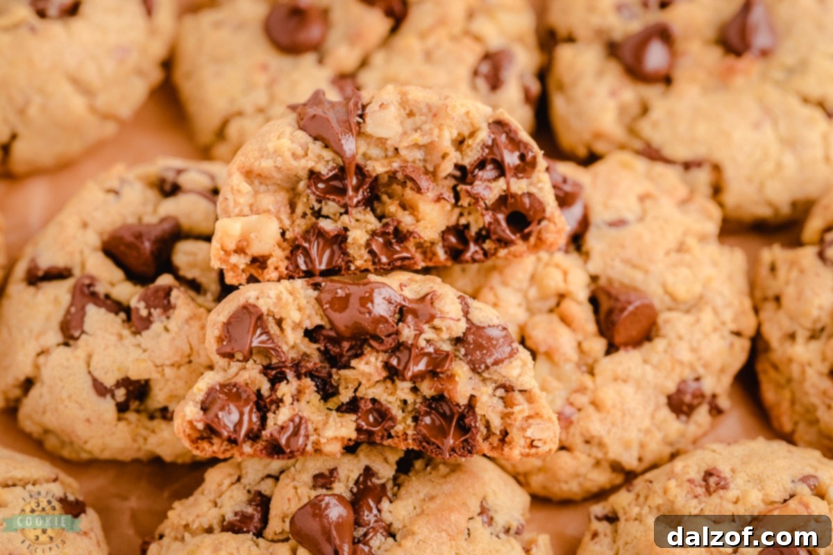 Hearty Oatmeal Walnut Chocolate Chip Delights 4 A bowl of delicious walnut chocolate chip oatmeal cookie dough, ready for baking.
