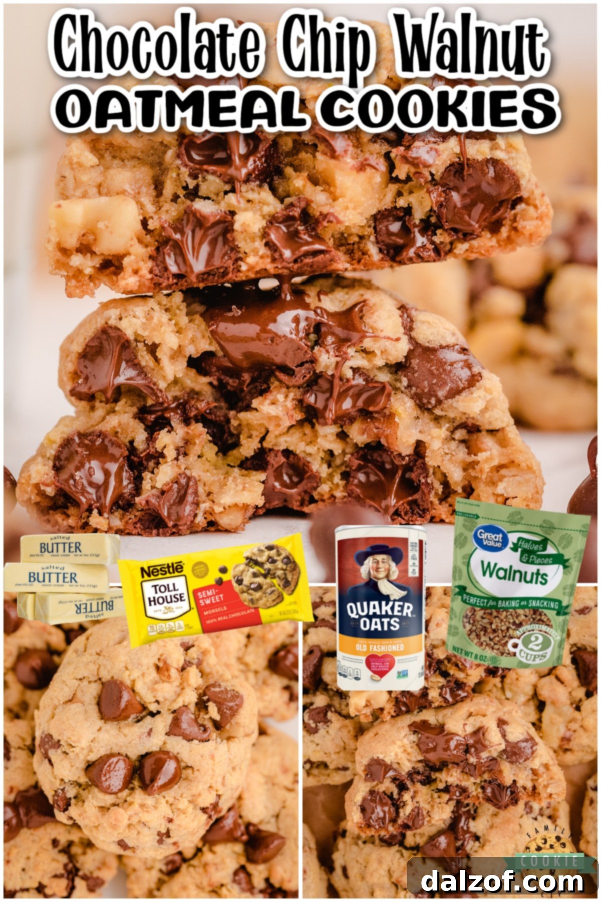 Hearty Oatmeal Walnut Chocolate Chip Delights 6 Generously loaded Oatmeal Walnut Chocolate Chip Cookies, featuring rich chocolate, hearty oats, and crunchy walnuts.