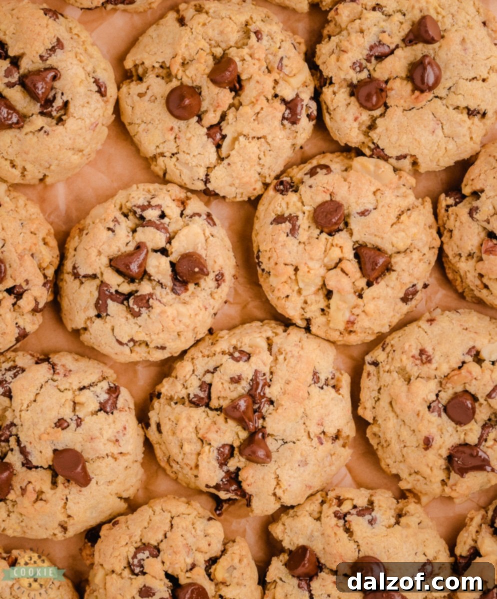 Hearty Oatmeal Walnut Chocolate Chip Delights 7 Close-up of a stack of golden brown oatmeal walnut chocolate chip cookies.