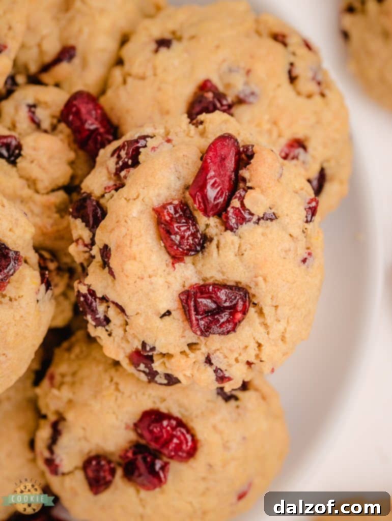 oatmeal craisin cookies