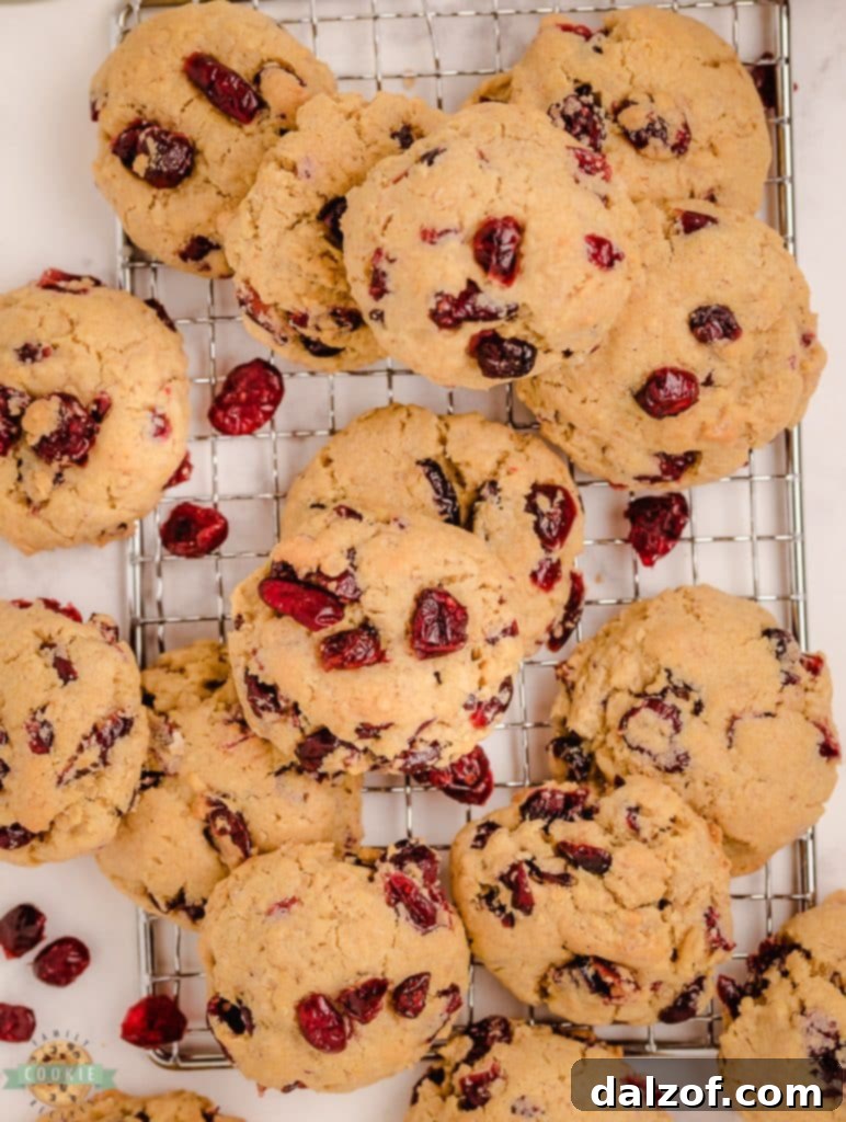 oatmeal cookies with Craisins on a cooling rack