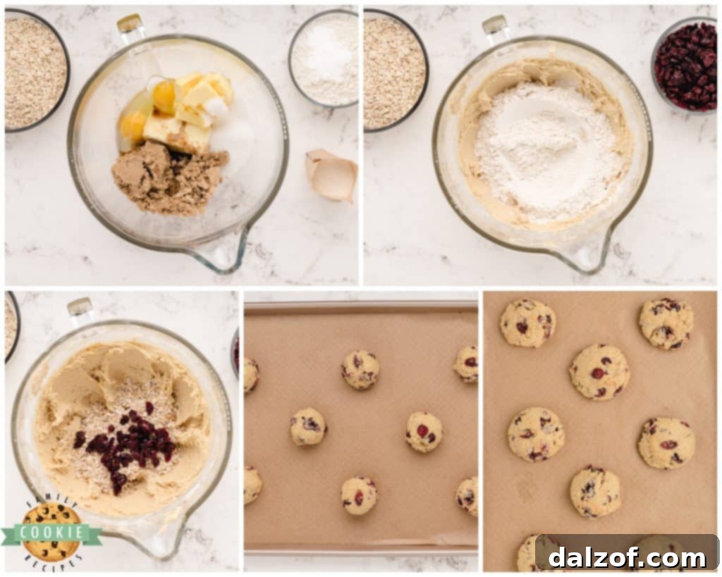 how to make Oatmeal Craisin cookies