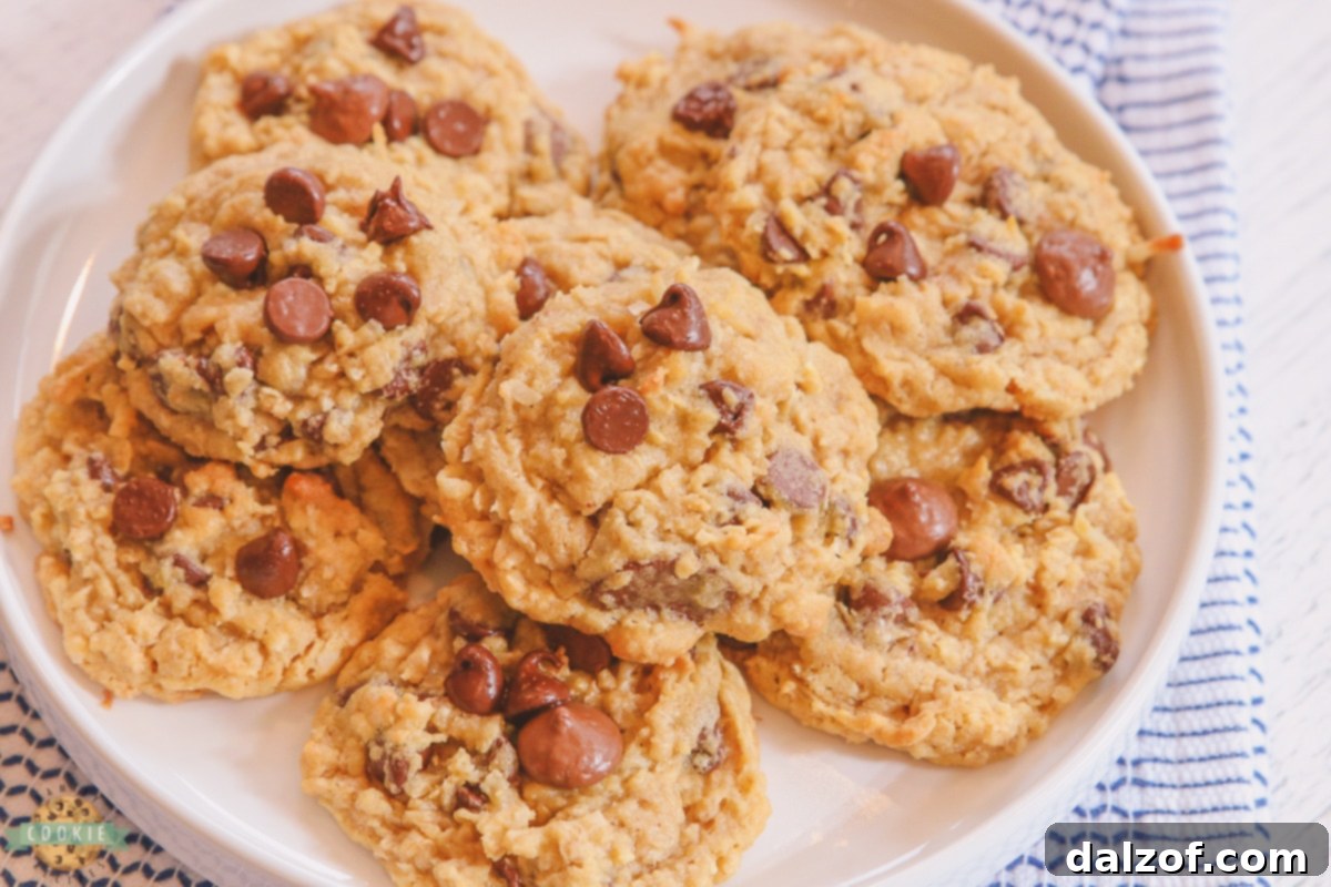 plate of chocolate chip coconut oatmeal cookies arranged beautifully