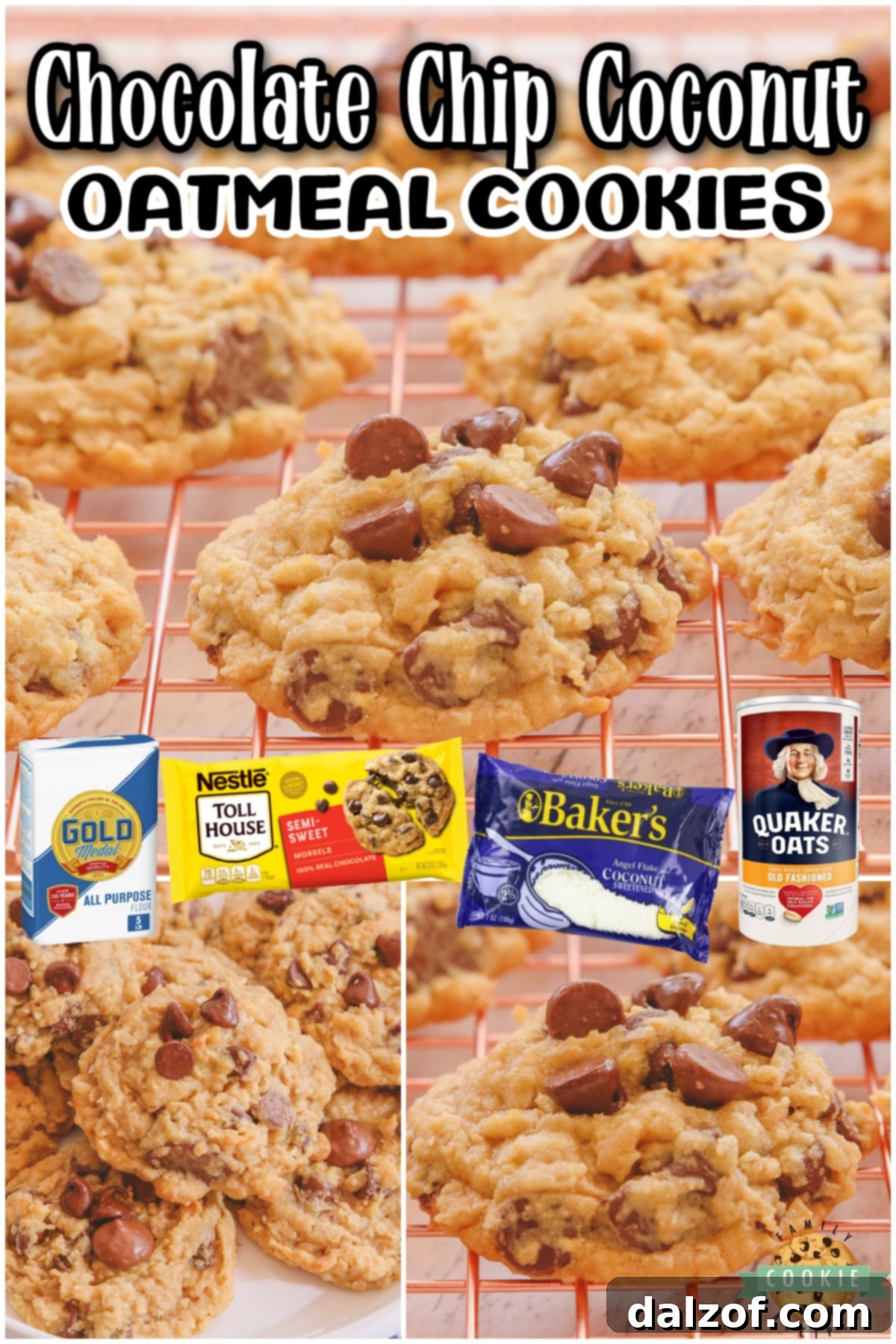 Close-up of baked Chocolate Chip Coconut Oatmeal Cookies, showcasing their texture and ingredients