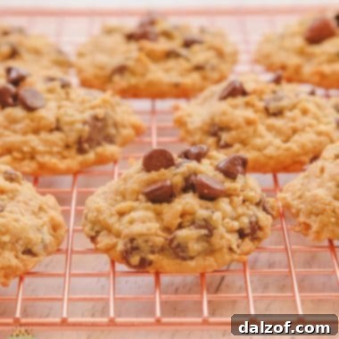 chocolate chip coconut oatmeal cookies on a cooling rack