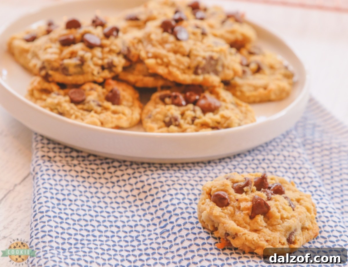 Close-up shot of a single Chocolate Chip Coconut Oatmeal Cookie, showing rich details