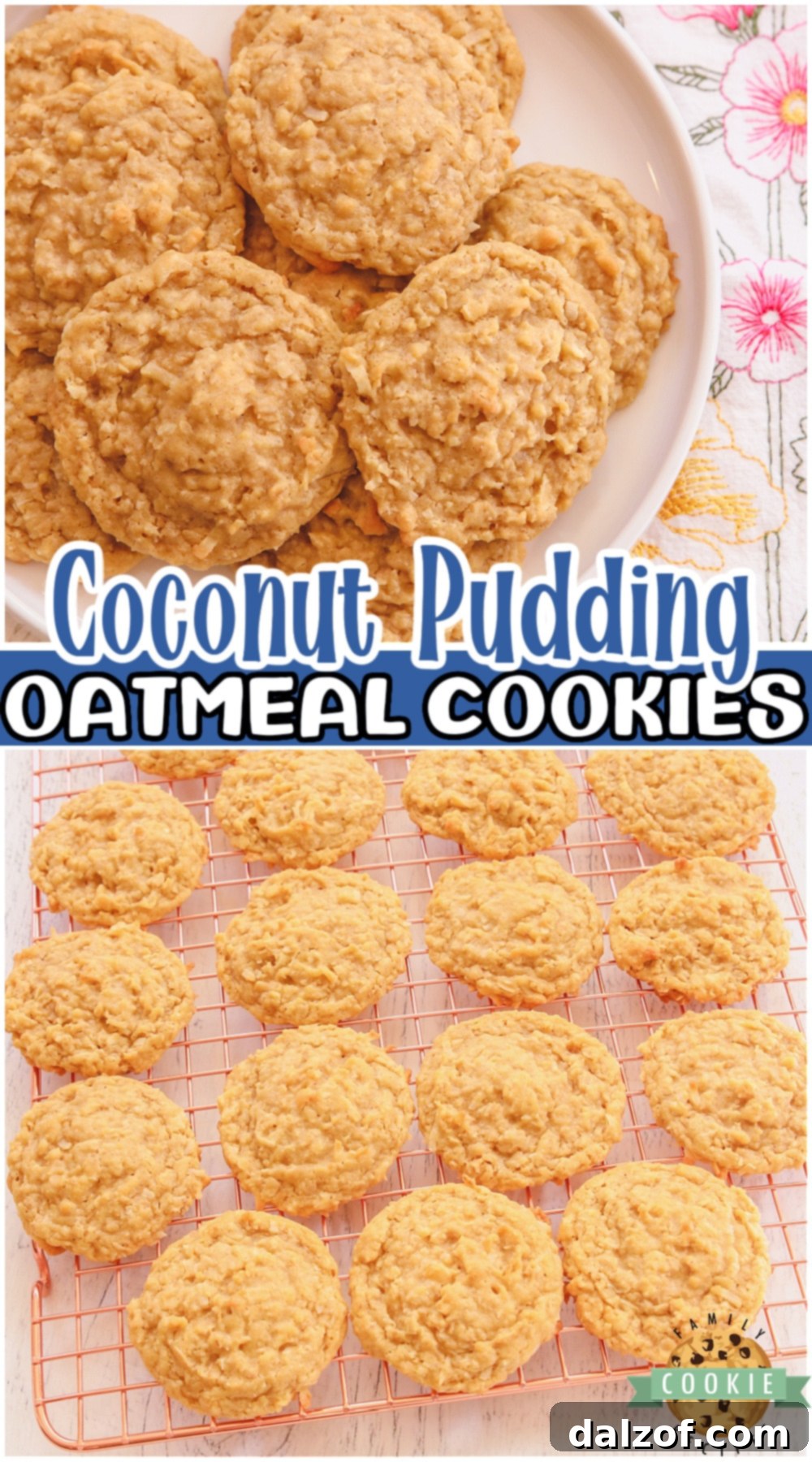 Coconut Oatmeal Cookies are soft & chewy oatmeal cookies with fantastic coconut flavor! Classic ingredients make up this delightful twist on oatmeal cookies.