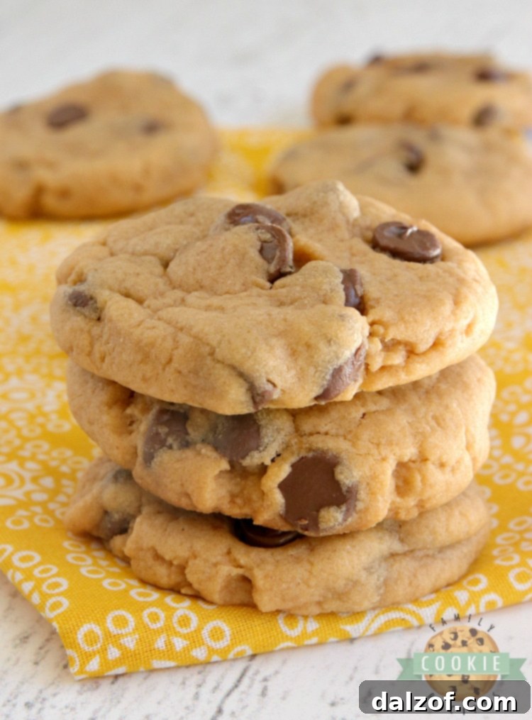 Butterscotch Chocolate Chip Cookies, soft and chewy with pudding mix.
