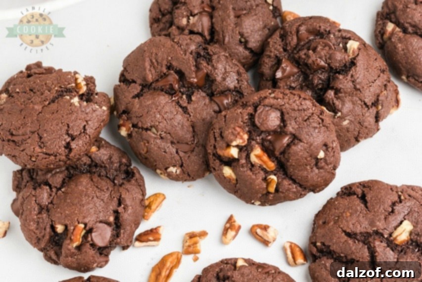 Chocolate Cake Mix Cookies made with 5 ingredients.