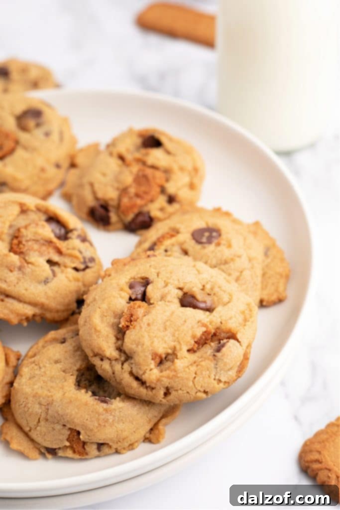 Biscoff Chocolate Chip Cookies featuring Biscoff spread and crushed cookies.