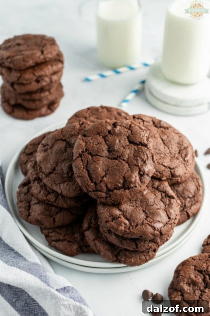 Double Chocolate Chip Cookies, rich and chewy.