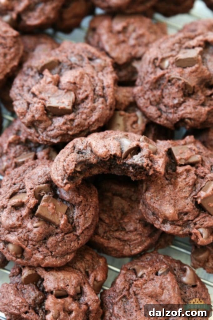 Double Chocolate Chip Pudding Cookies, incredibly soft and flavorful.