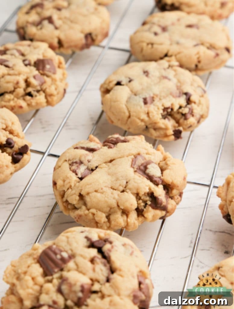 Reese's Peanut Butter Banana Cookies with chocolate chips.