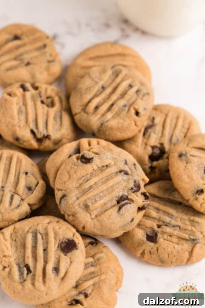 Peanut Butter Chocolate Chip Cookies, a classic sweet and salty combination.