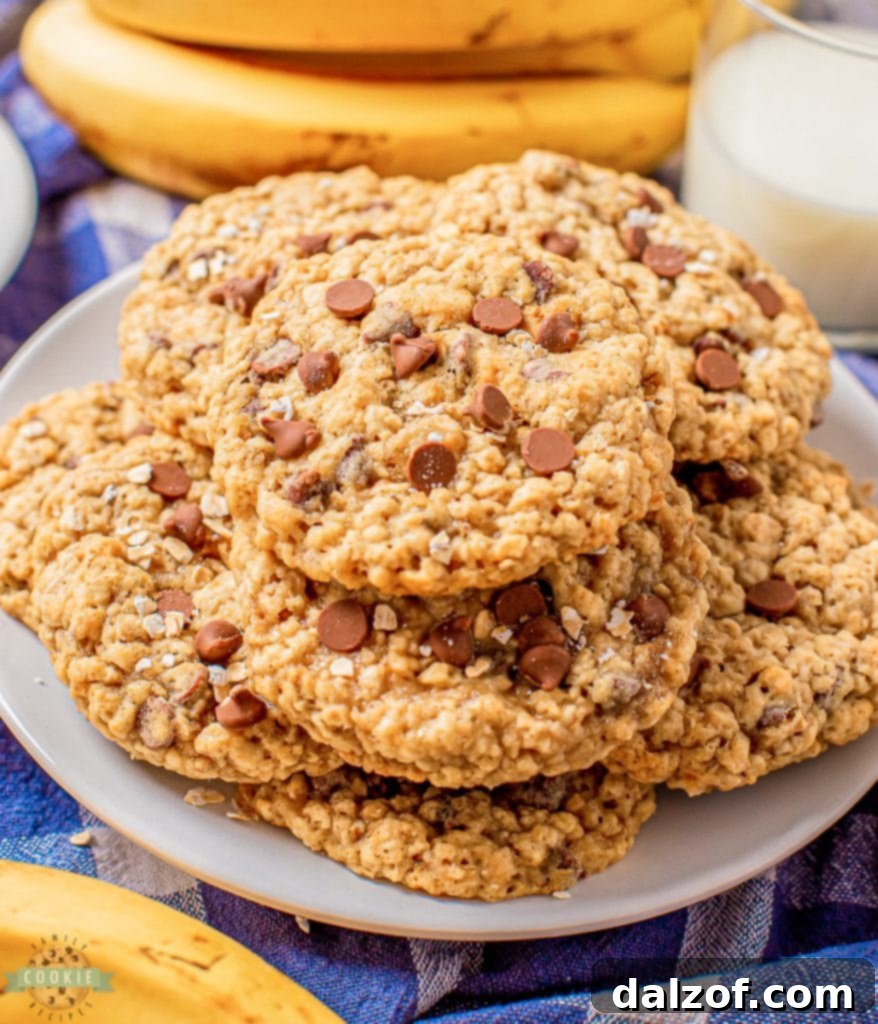 Banana Chocolate Chip Oatmeal Cookies, chewy and sweet.