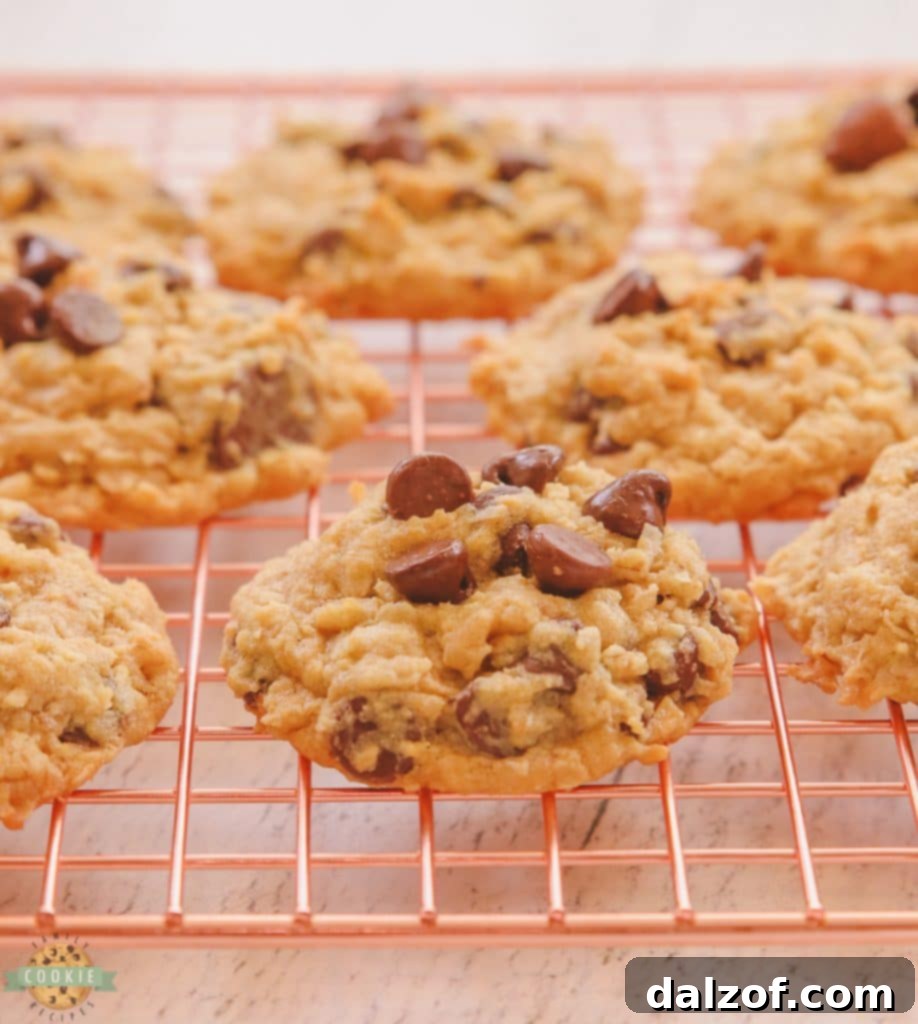 Chocolate Chip Coconut Oatmeal Cookies on a cooling rack.