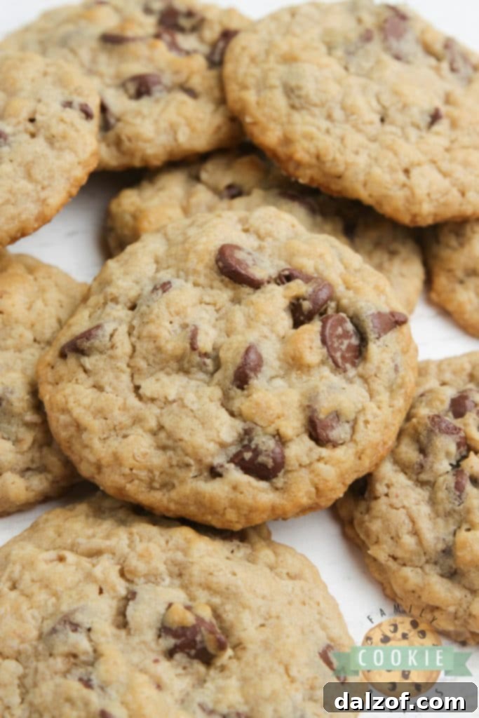 Eggless Oatmeal Chocolate Chip Cookies, soft and chewy.